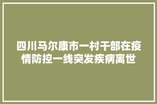 四川马尔康市一村干部在疫情防控一线突发疾病离世