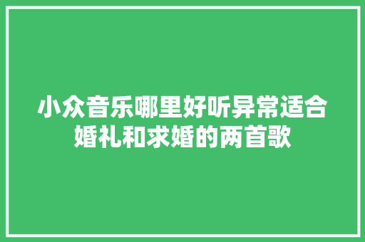 小众音乐哪里好听异常适合婚礼和求婚的两首歌