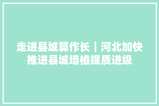 走进县城算作长｜河北加快推进县城培植提质进级
