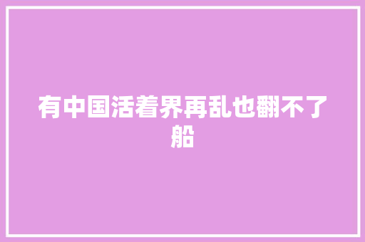 有中国活着界再乱也翻不了船