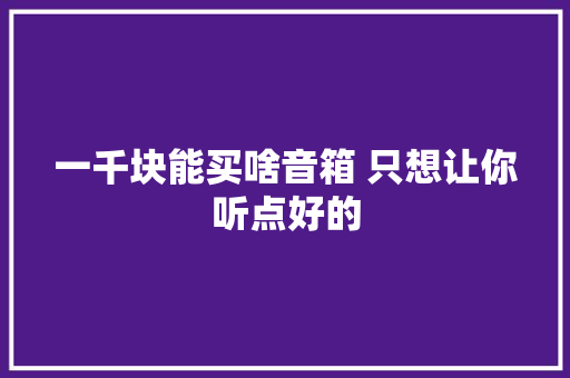 一千块能买啥音箱 只想让你听点好的