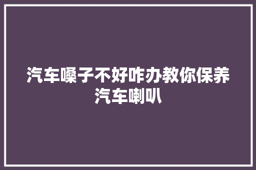 汽车嗓子不好咋办教你保养汽车喇叭