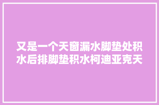 又是一个天窗漏水脚垫处积水后排脚垫积水柯迪亚克天