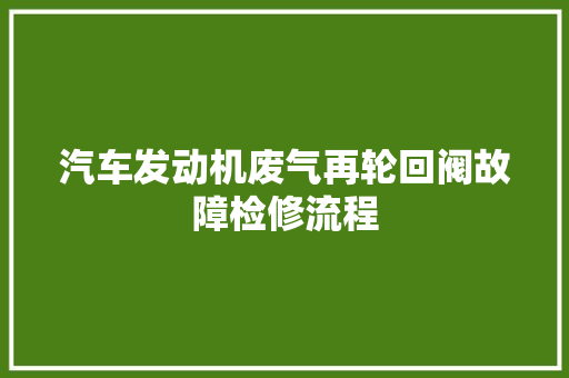 汽车发动机废气再轮回阀故障检修流程