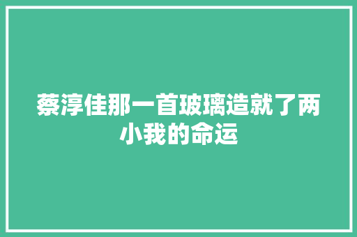 蔡淳佳那一首玻璃造就了两小我的命运