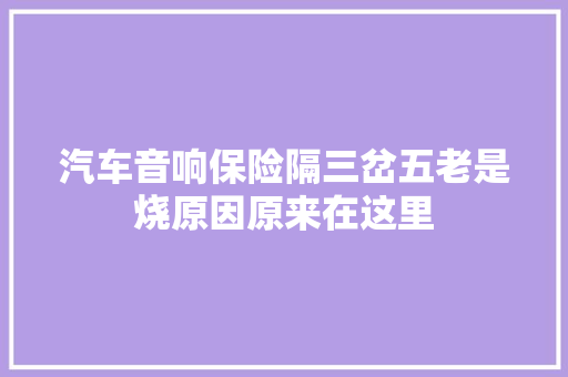 汽车音响保险隔三岔五老是烧原因原来在这里