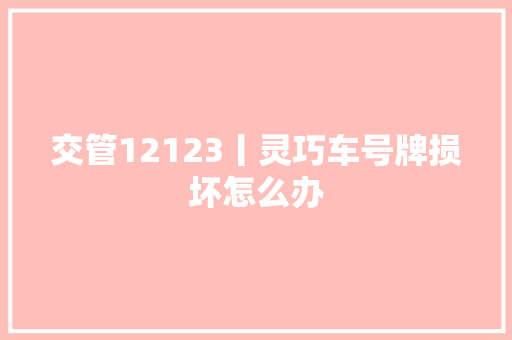 交管12123丨灵巧车号牌损坏怎么办