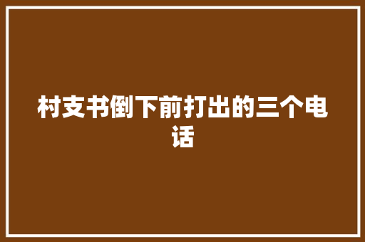 村支书倒下前打出的三个电话