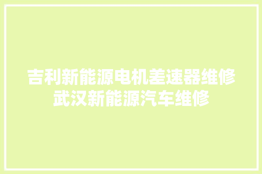 吉利新能源电机差速器维修武汉新能源汽车维修