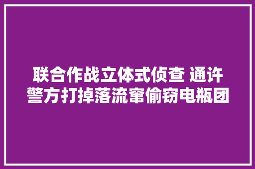 联合作战立体式侦查 通许警方打掉落流窜偷窃电瓶团伙