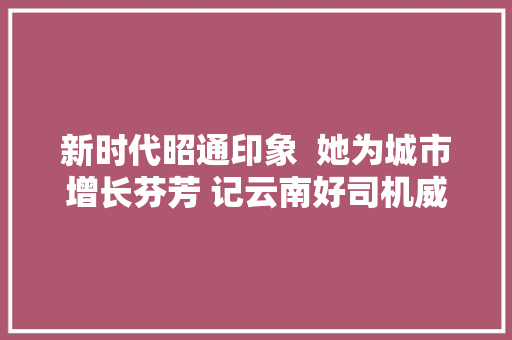 新时代昭通印象  她为城市增长芬芳 记云南好司机威信县出租汽车驾驶员王科芬