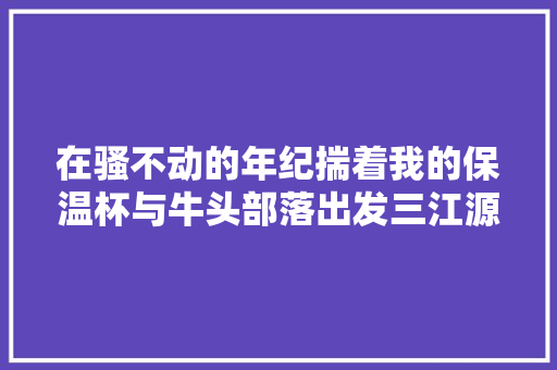 在骚不动的年纪揣着我的保温杯与牛头部落出发三江源