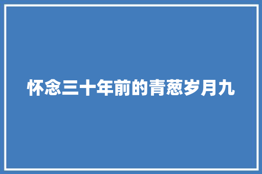 怀念三十年前的青葱岁月九