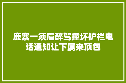 鹿寨一须眉醉驾撞坏护栏电话通知让下属来顶包