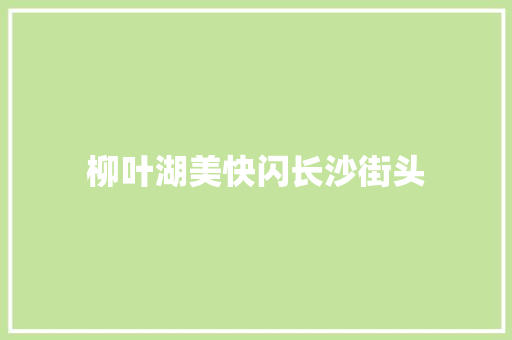柳叶湖美快闪长沙街头