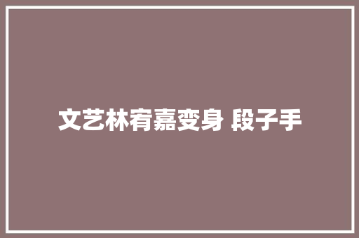 文艺林宥嘉变身 段子手