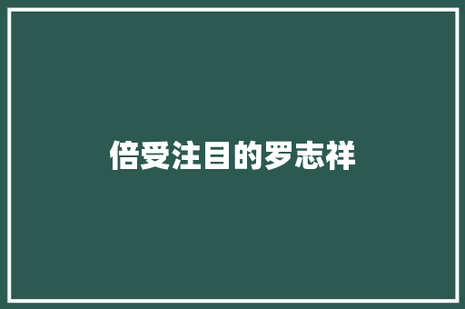 倍受注目的罗志祥