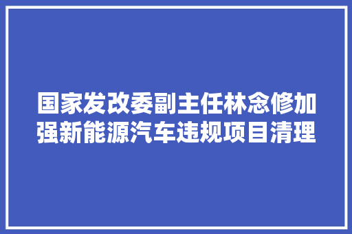 国家发改委副主任林念修加强新能源汽车违规项目清理整治推动落后企业和无效产能退出