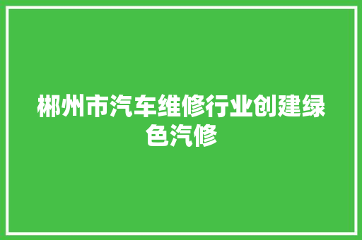郴州市汽车维修行业创建绿色汽修