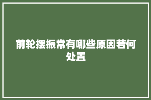 前轮摆振常有哪些原因若何处置