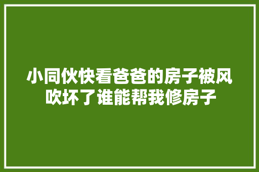 小同伙快看爸爸的房子被风吹坏了谁能帮我修房子