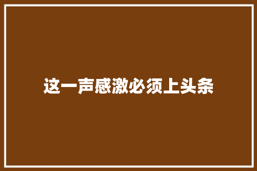 这一声感激必须上头条
