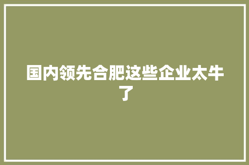 国内领先合肥这些企业太牛了