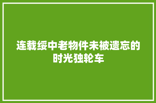 连载绥中老物件未被遗忘的时光独轮车