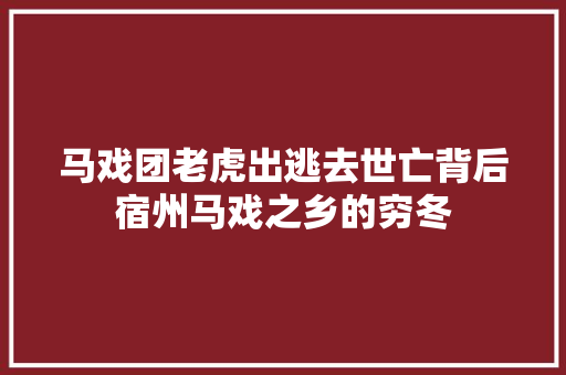 马戏团老虎出逃去世亡背后宿州马戏之乡的穷冬