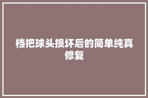 档把球头损坏后的简单纯真修复