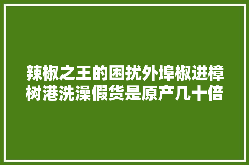 辣椒之王的困扰外埠椒进樟树港洗澡假货是原产几十倍