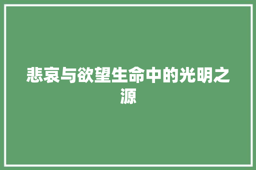 悲哀与欲望生命中的光明之源
