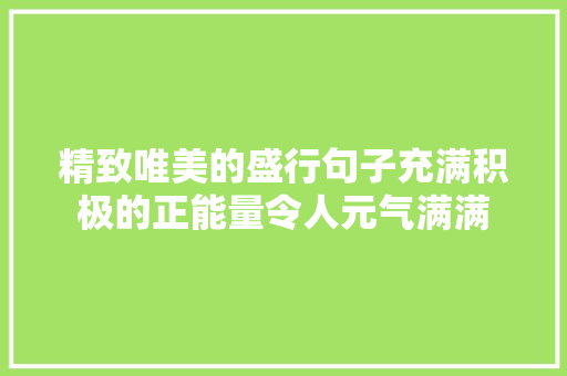 精致唯美的盛行句子充满积极的正能量令人元气满满