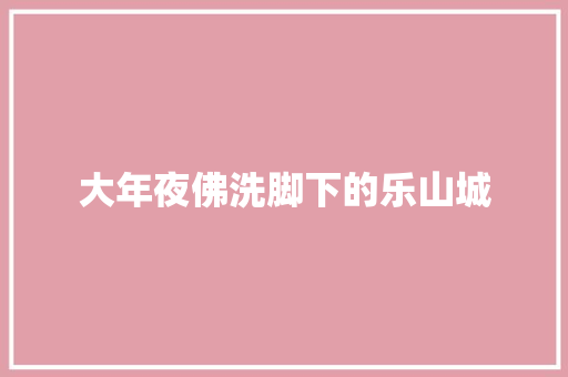 大年夜佛洗脚下的乐山城
