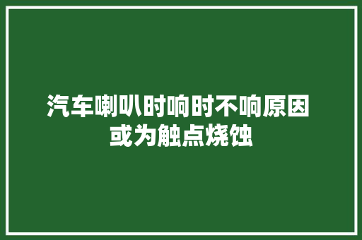 汽车喇叭时响时不响原因 或为触点烧蚀