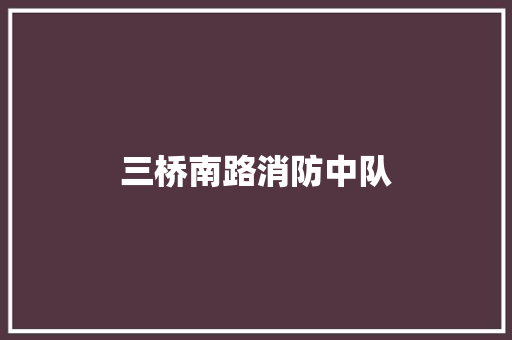 三桥南路消防中队