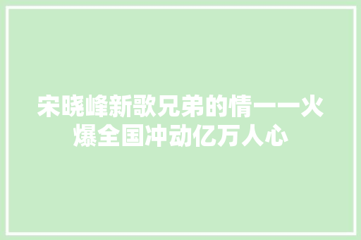 宋晓峰新歌兄弟的情一一火爆全国冲动亿万人心