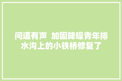 问道有声  加固降噪青年排水沟上的小铁桥修复了 汽车知识
