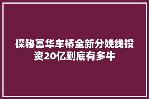 探秘富华车桥全新分娩线投资20亿到底有多牛