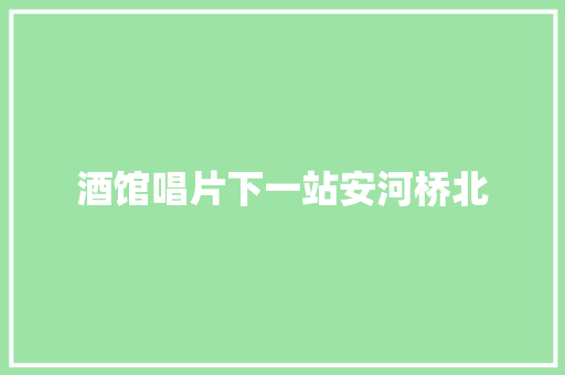 酒馆唱片下一站安河桥北