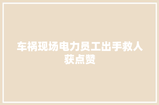 车祸现场电力员工出手救人获点赞