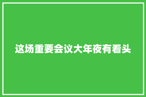 这场重要会议大年夜有看头
