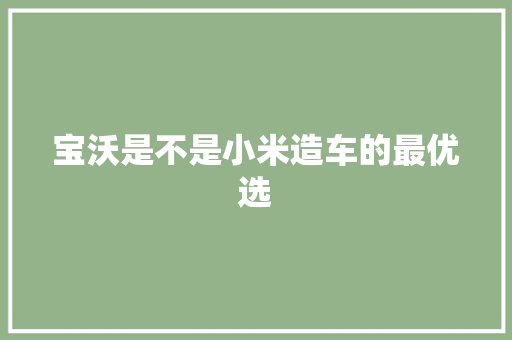 宝沃是不是小米造车的最优选
