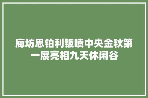 廊坊思铂利钣喷中央金秋第一展亮相九天休闲谷