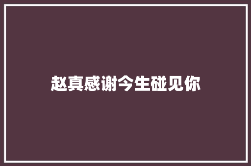 赵真感谢今生碰见你