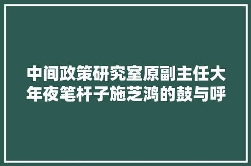 中间政策研究室原副主任大年夜笔杆子施芝鸿的鼓与呼