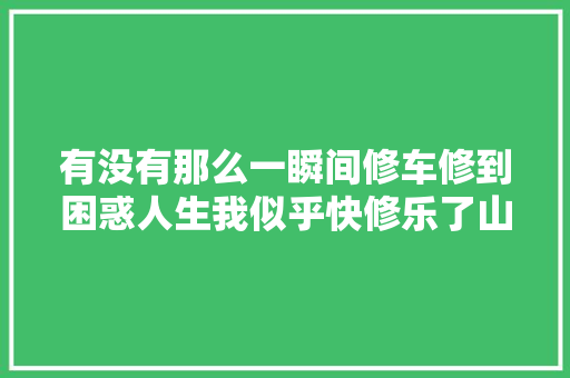 有没有那么一瞬间修车修到困惑人生我似乎快修乐了山猫