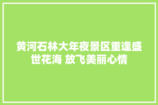 黄河石林大年夜景区重逢盛世花海 放飞美丽心情