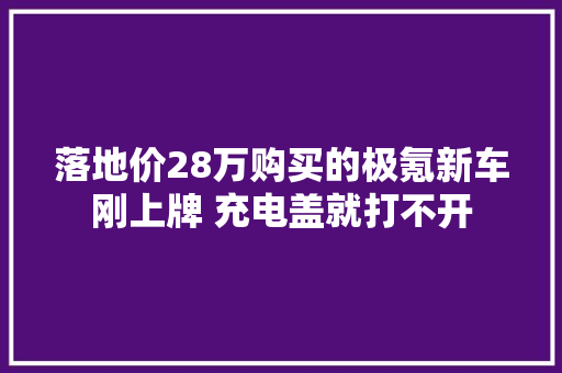 落地价28万购买的极氪新车刚上牌 充电盖就打不开