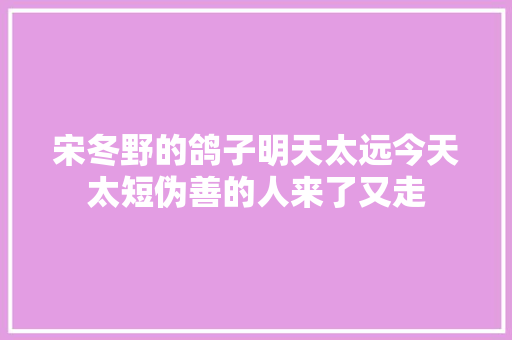 宋冬野的鸽子明天太远今天太短伪善的人来了又走